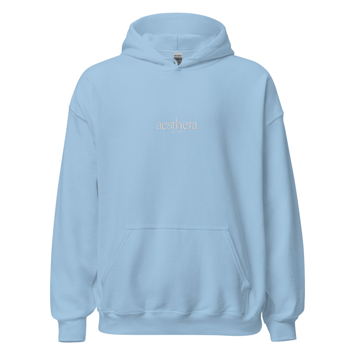 aesthera embroidered hoodie